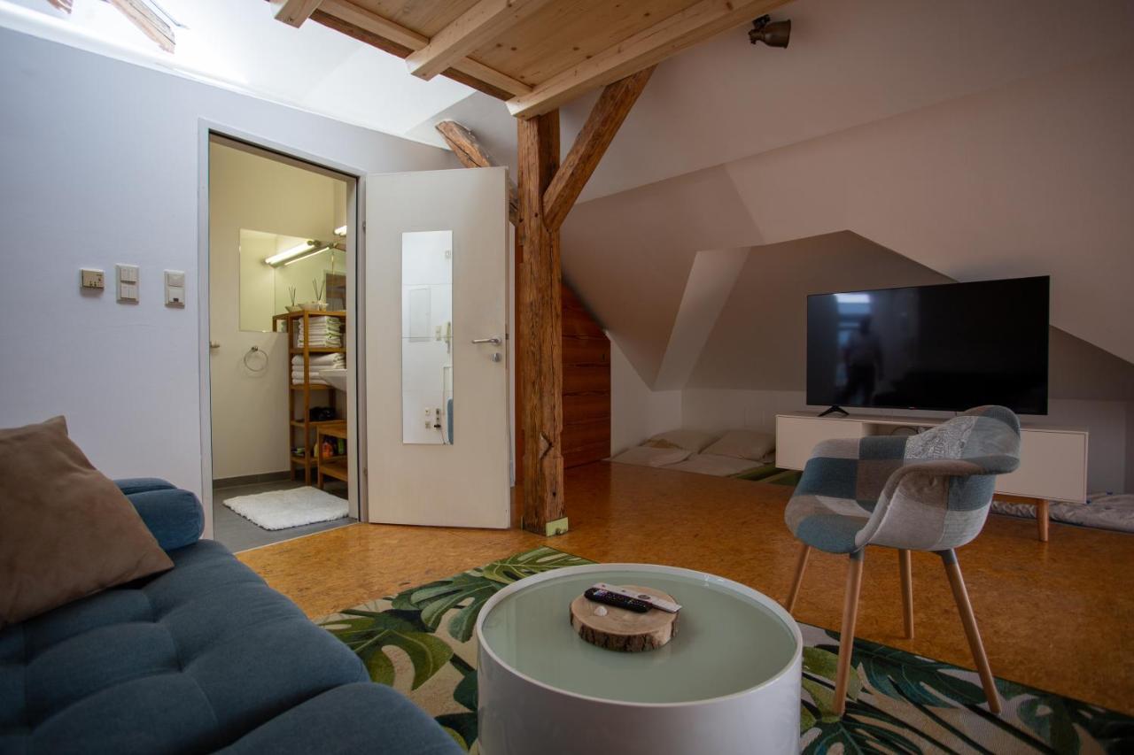 Cityview Apartment غراتس المظهر الخارجي الصورة